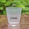 Translucent Plastic Phalaenopsis Planting Pots – 2.5", 3.5", 4" Sizes