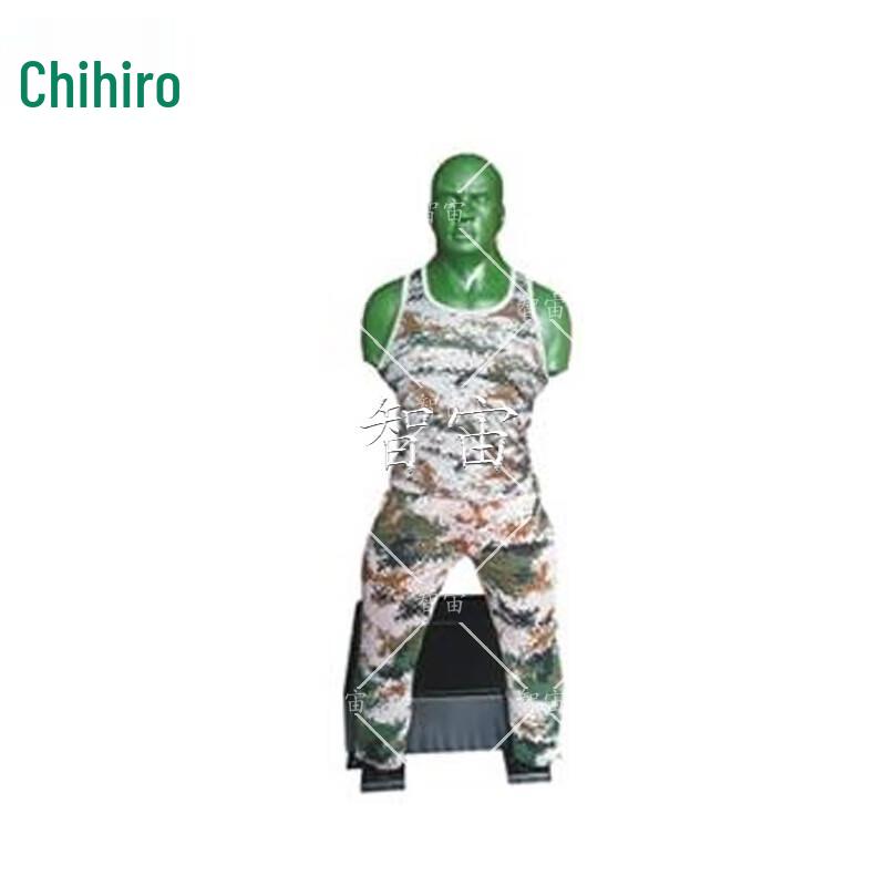 

Intelligent Combat Training & Assessment System