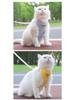 Anti-Escape Adjustable Cat Harness and Leash - Outdoor Walking Rope for Cats