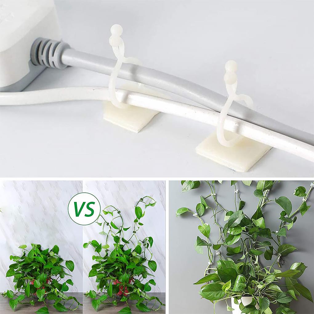 Plants Fixture Wall Climbing Fastener Wall-mounting Vine Supporting Hooks Fixing Gardening Clips Accessories Courtyard