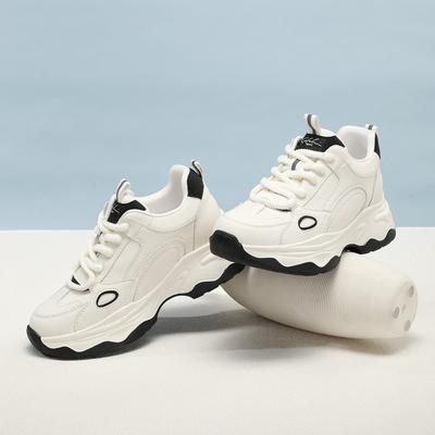 Shachi Sport College Style Dad Shoes