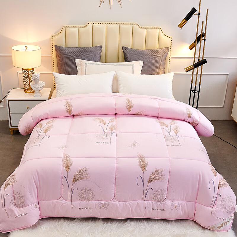 

Muxinzi Autumn/Winter Thickened Warm Brushed Quilt