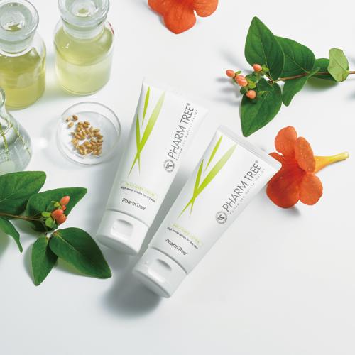 Palm Tree Daily Care Cream 100ml