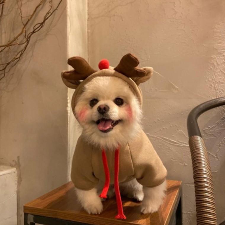 Christmas Dog Clothes, Rudolph & Heart Fleece-Lined Pet Costume, Warm Puppy Sweater Outfit, S–XL