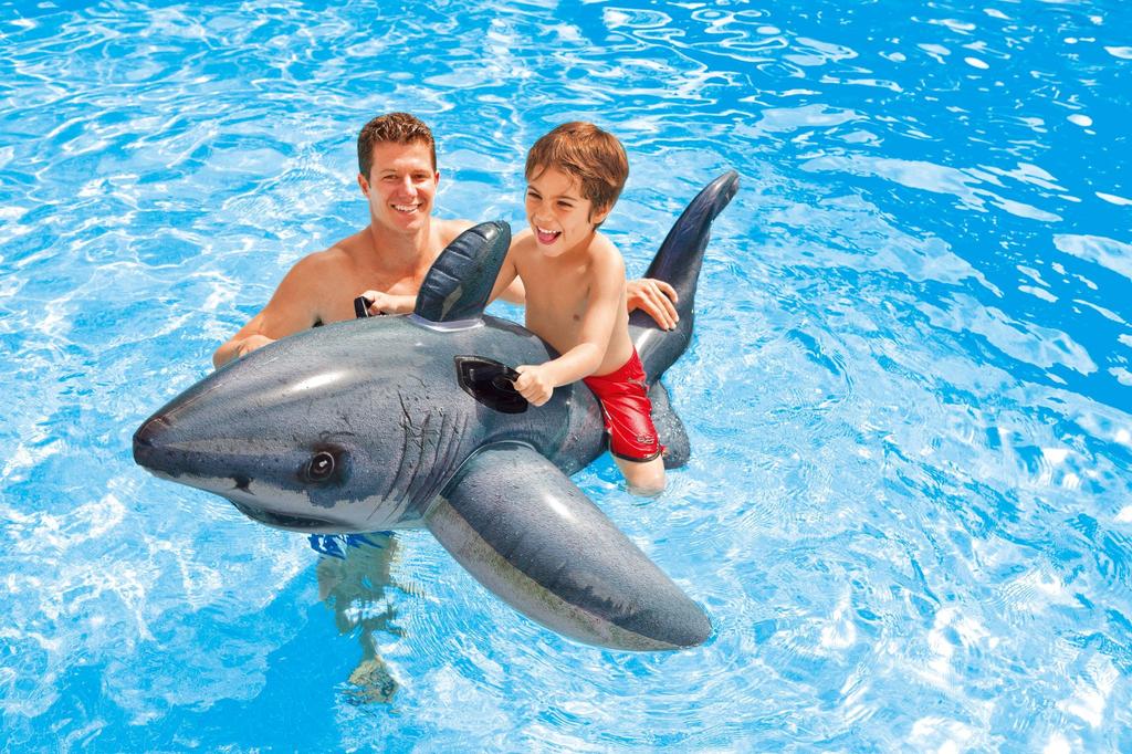 INTEX Great White Shark Ride-On, 173 X 107 Cm, 57525 [Official Japanese Product]