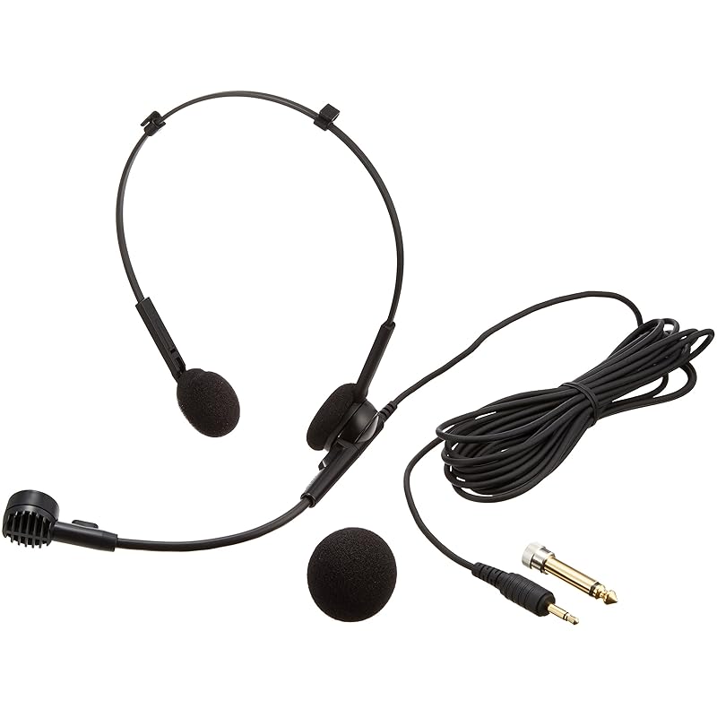 

audio technica AT810F free microphone