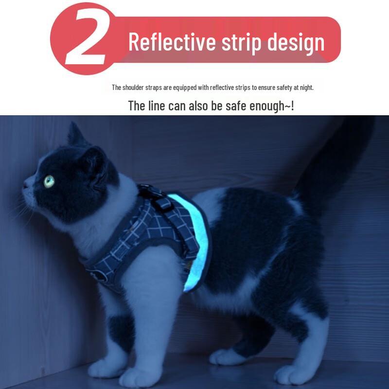 Katzen Geschirr mit Leine Set