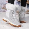 2025 New Women's Snow Boots Winter High-top Cotton Shoes Thick Velvet Plush Warm Winter Boots Lace-Up Platform Ankle Boots Botas