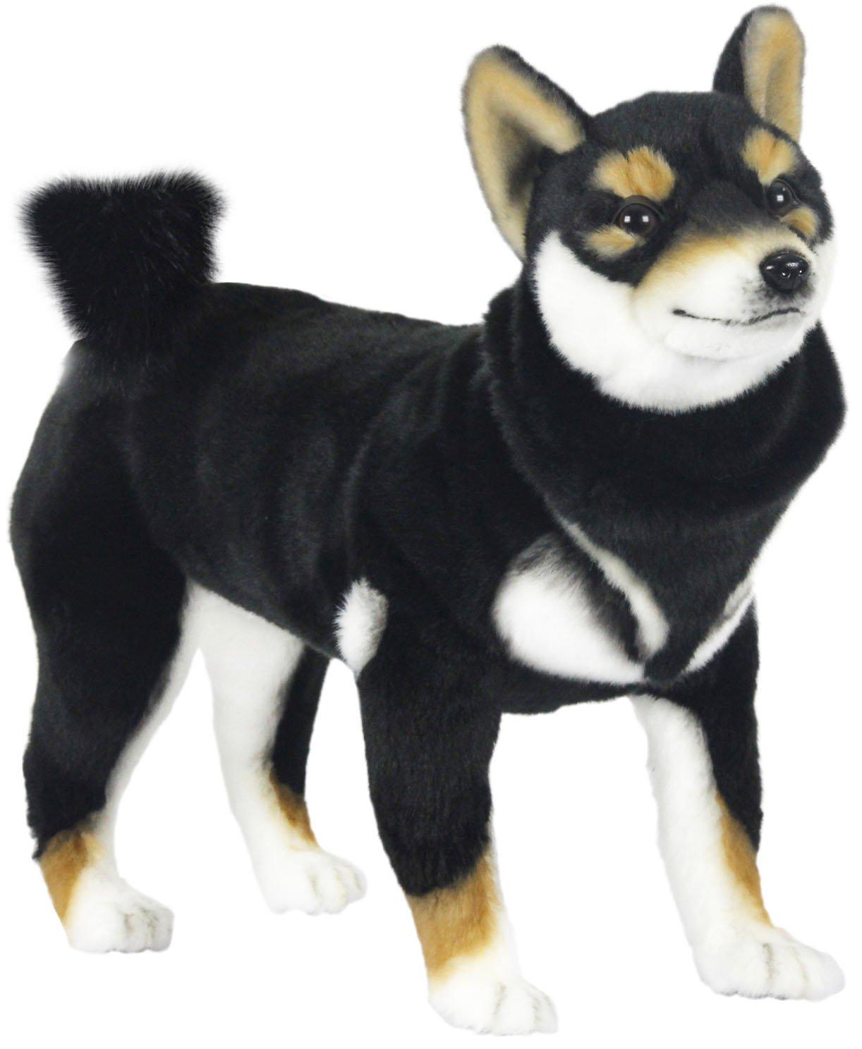 

BH7242 HANSA Black Shiba 50