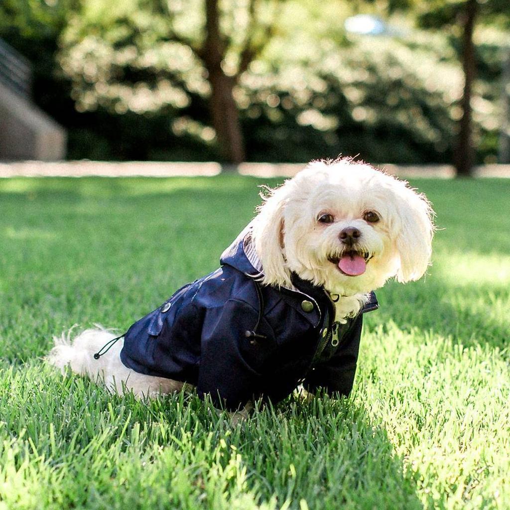 Pet Large Dog Raincoat Waterproof Fashion Multi Colors Rain Coat Pet Waterproof Jacket S-5XL Medium Large Dog Clothing Hoodies