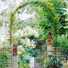 Elegant Wrought Iron Arched Flower Stand for Climbing Roses