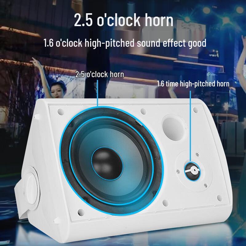 Weishu WS16-40 40W Wall-Mounted Passive Speaker