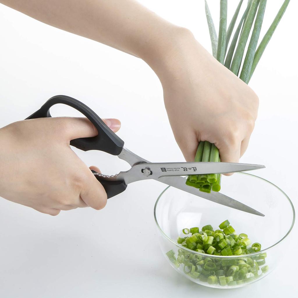 Takumi no Waza Stainless Steel Kitchen Long Scissors, Type, G-2033