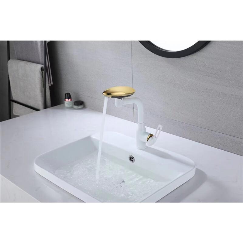 TLXT Hot & Cold Swivel Basin Faucet
