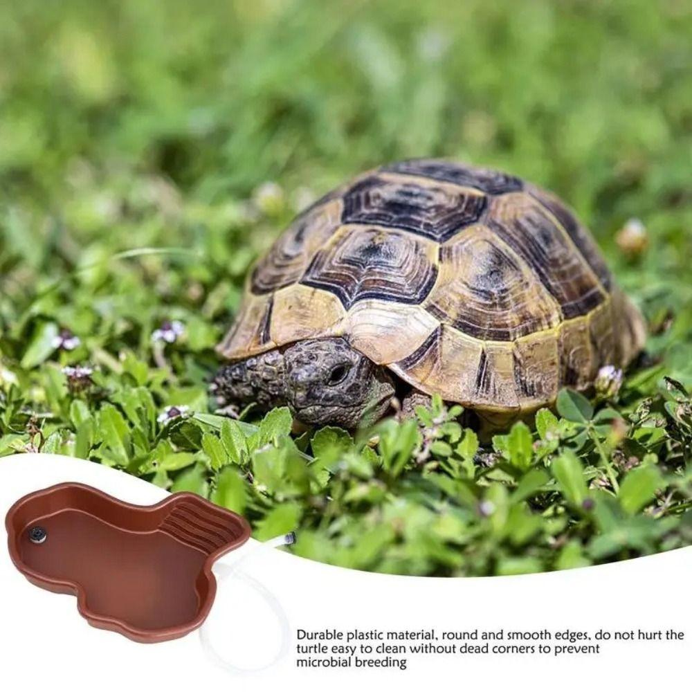 With Ramp Reptile Water Bowl Portable Tortoise Water Dish Turtle Feeding Dish  Scorpion