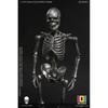 Null 1 12 Palm Elf Series Skeleton Body Silver Ver.