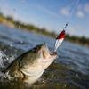 Sinking Hard Fishing with Beads Artificial Fish for Fishing