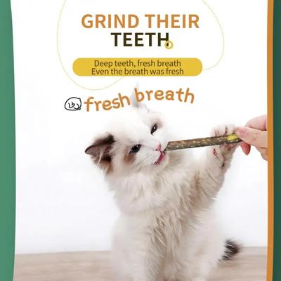 5 Sticks/bag Cat Chews Products All Natural Catnip Sticks Teeth Cleaning Cat Sticks Wood Tengo Molar Sticks For Cats Of All Ages