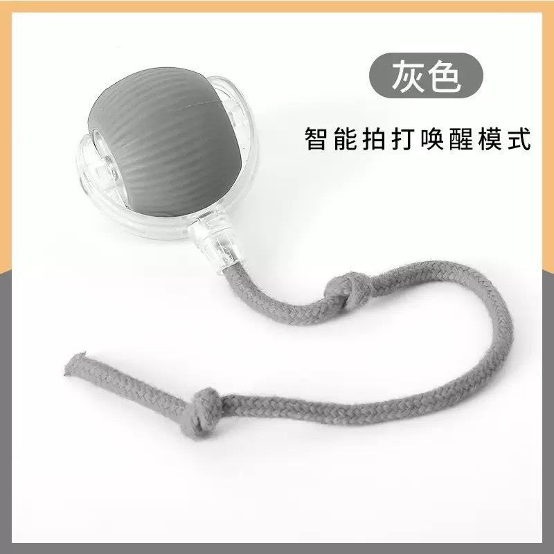 Smart Interactive Pet Ball Toy For Cats And Dogs