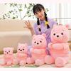 Cute Pink Teddy Bear Plush Toy For Birthday And Holiday Gifts Wholesale From Manufacturer