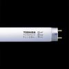 Becuri electrice – Becuri economice și fluoriscente