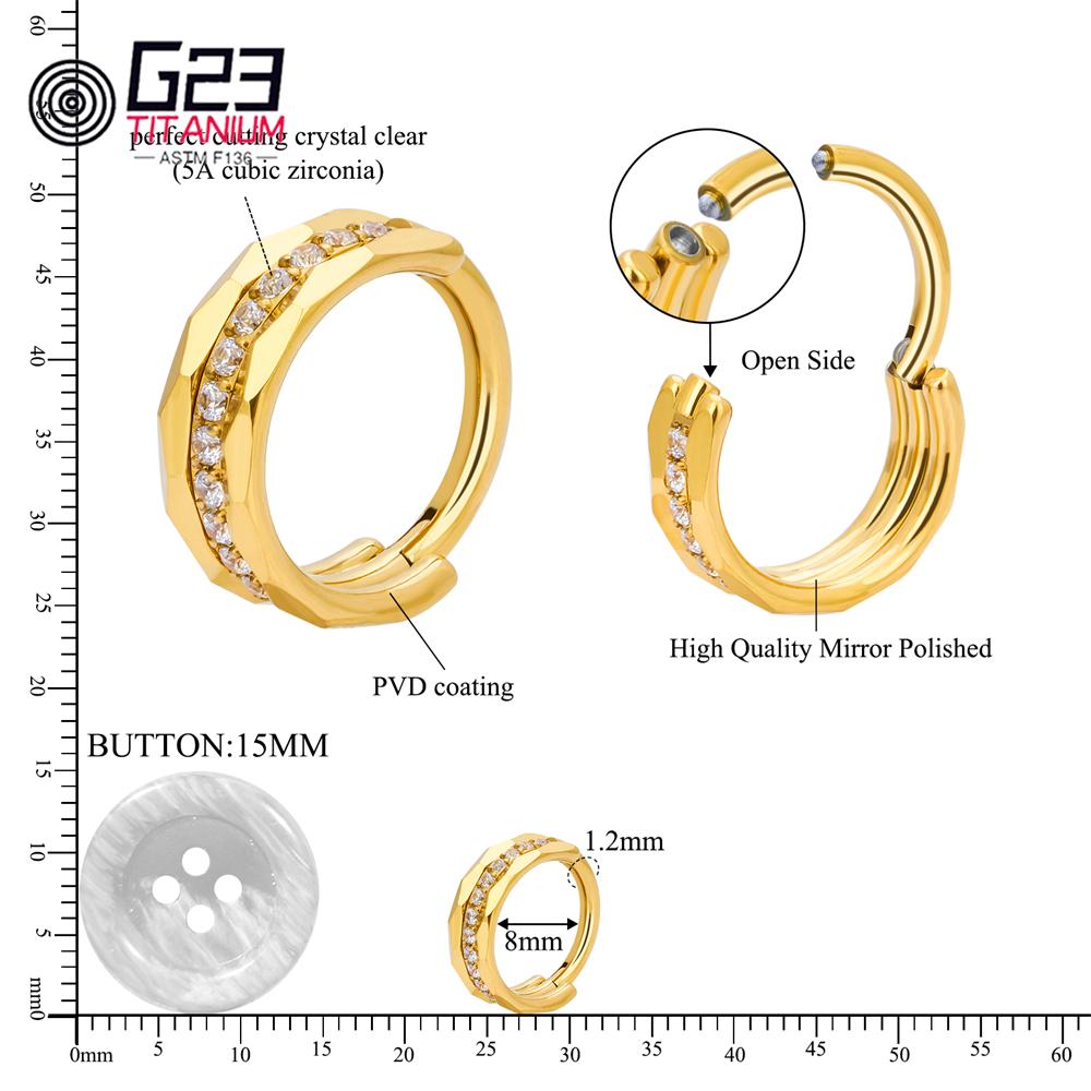 1/10 Stück Großhandel G23 Titan Piercing Nasenring Runder Scharnier Segment Ring Clicker Ohrknorpel Tragus Piercing Körperschmuck
