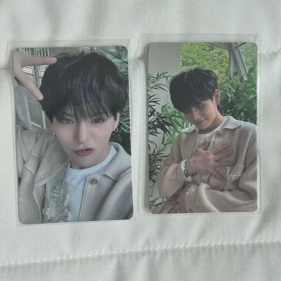 

Treasure Yoshi Trading Card Photocard Sell