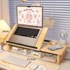 Adjustable Laptop & Tablet Stand Holder with Storage Rack