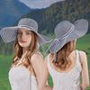 Wide Brim Stripe Bucket Hat Bow Fisherman Hat Fashion Sun Protection Cap  Fishing