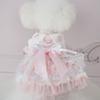 Pet Dog Winter Dress Poodle Teddy Cat Devon Rex Princess Style Knit Skirt Outfit