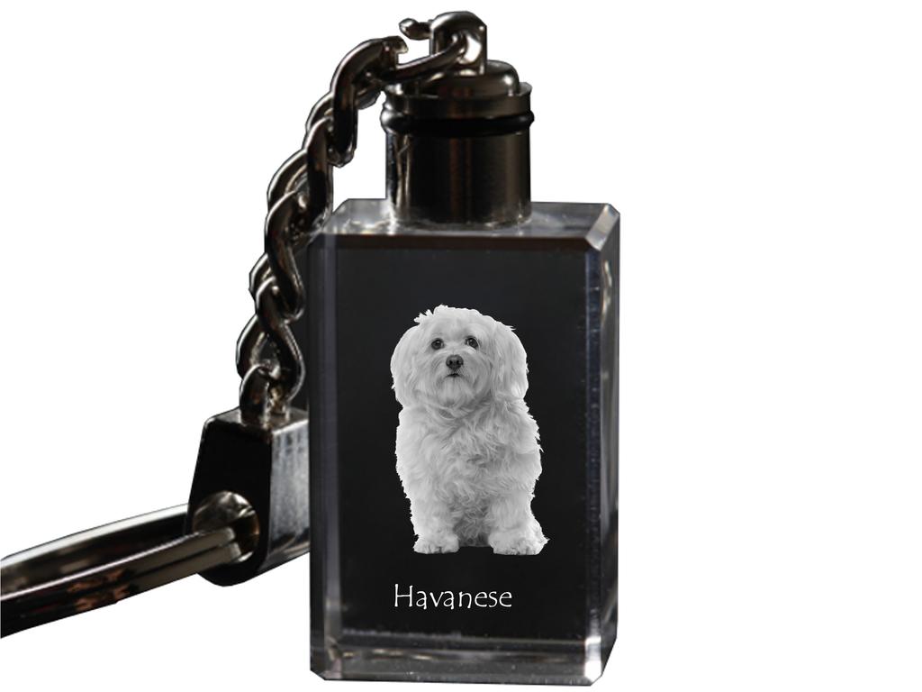 Havanese, Havanese Cuban Bichon, Bichón Havanés - Crystal key ring with dog photo, illuminated key ring, unique gift by Art-Dog brand