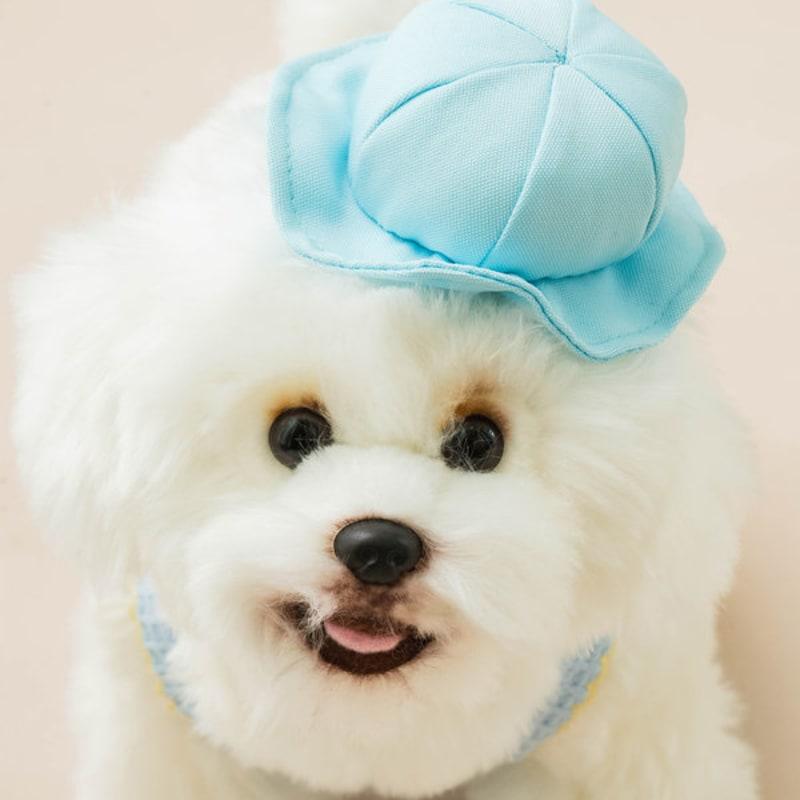 [Pet] Kindergarten Hat S