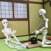 Educational Skeleton Model Figure, 9cm Articulated Human Anatomys Model Display Bring Unforgettable Experience