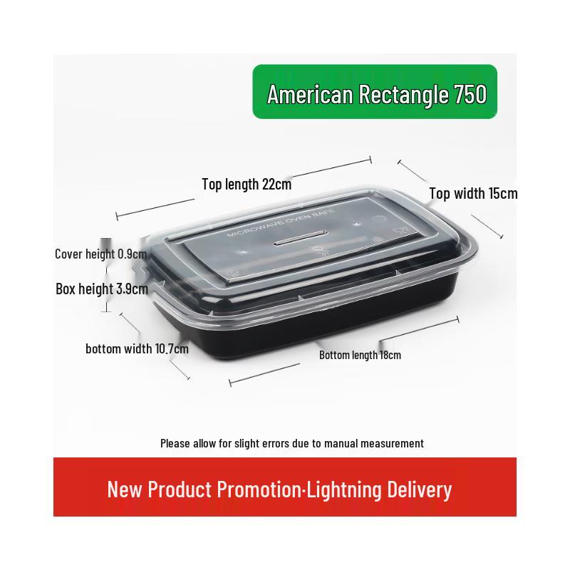 American Style Takeaway Lunch Box