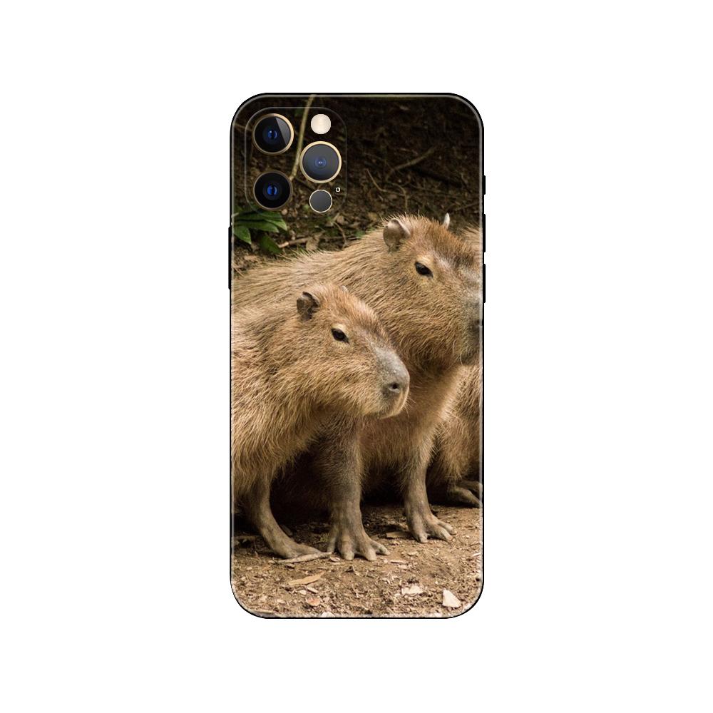 Capybara pouzdro na telefon pro iPhone 5 5s 2020se 6 6s 7 8 plus x 10 XR XS 11 12 13 mini pro MAX černý zadní kryt TPU