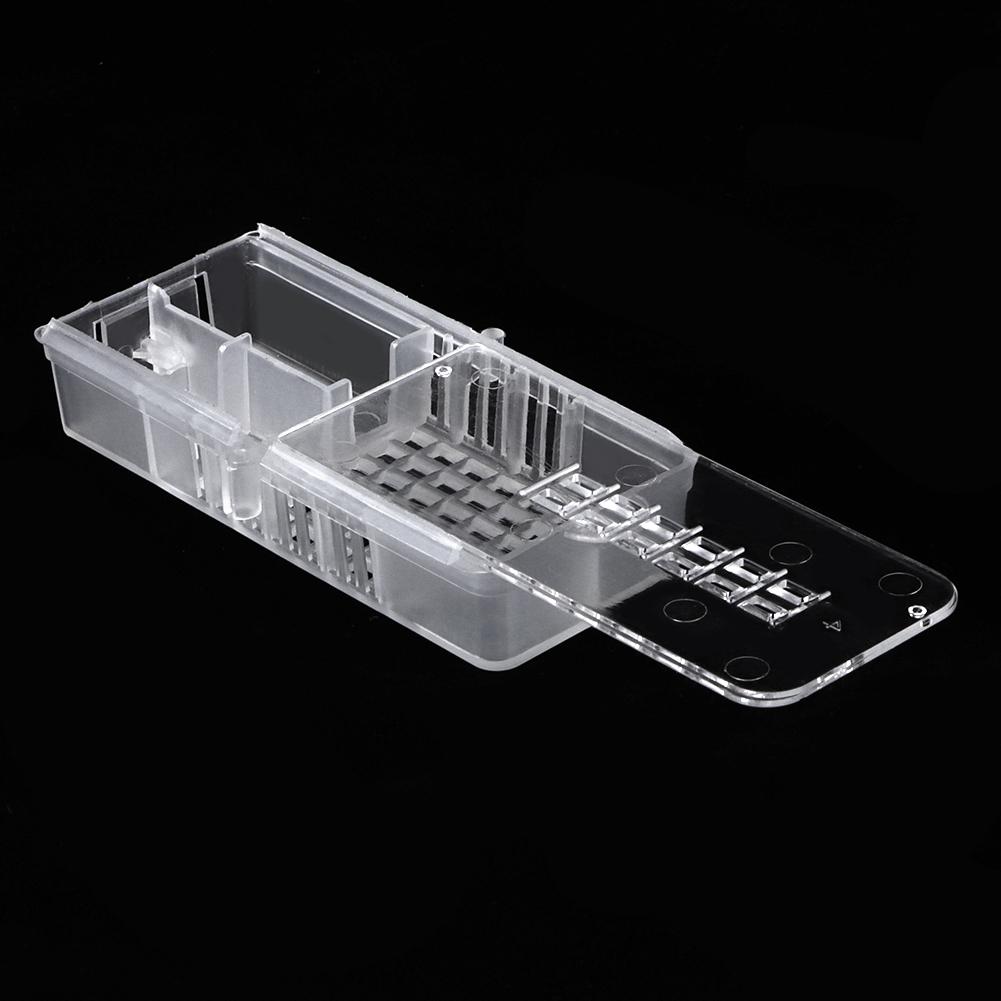 10pcs Plastic Beekeeping Rearing Cup Kit Bee Cages Beekeeper Equipment Tools