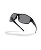 Chaebteoegseu (Uv Block/Photochromic Lenses) Shadow-X (Black)