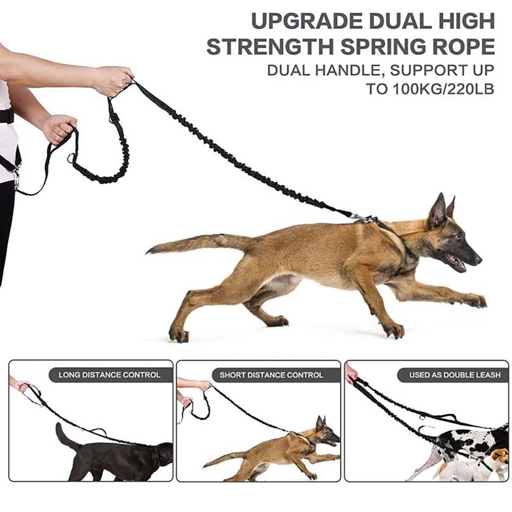 Waist Bag Water Cup Bags Running Jogging Pet Collar Dog Leash Dogs Harness Traction Belt Rope