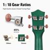 Donner DUC-200G Concert Ukulele for Beginners, 23-inch, Premium Wood with a Polished Finish, Includes a Soft Case, Tuner, and 6 Accessories, Green