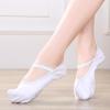 White Soft Sole Korean Hook Dance Shoes for Ethnic Performances - Flat Heel Practice Shoes