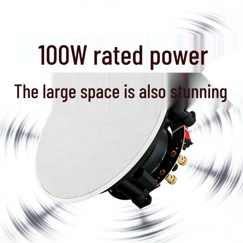 Hongshidao HSD-LTH811 Constant Impedance Ceiling Speaker CN Plug (adapter Included) (CN Version)