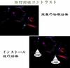 DISYEE LED Courtesy Door Lamps with VELLFIRE Logo, Pair (for Toyota Vellfire 20/30 Series)