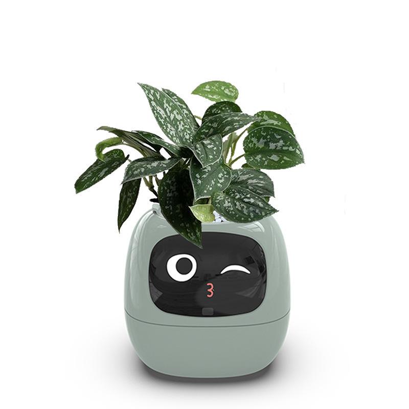 

Smart Life Ivy Smart Planter,Endless Fun Over 49 Rich Expressions,7 smart sensors,AI Chips Make Raising Plants Easy and Fun Smart Flower Pot