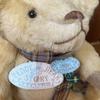 [USED] Teddy Bear Story Bear Plush Doll Handmade Finished Product
