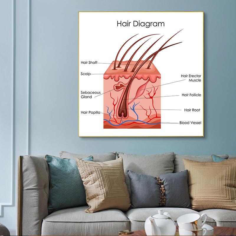 Human Organs Brain Liver Heart Anatomy Poster Print Canvas Painting Human Body Map Medical Classroom Office Room Home Decoration