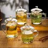 Xiyao Heat-Resistant Glass Teacup with Handle and Lid