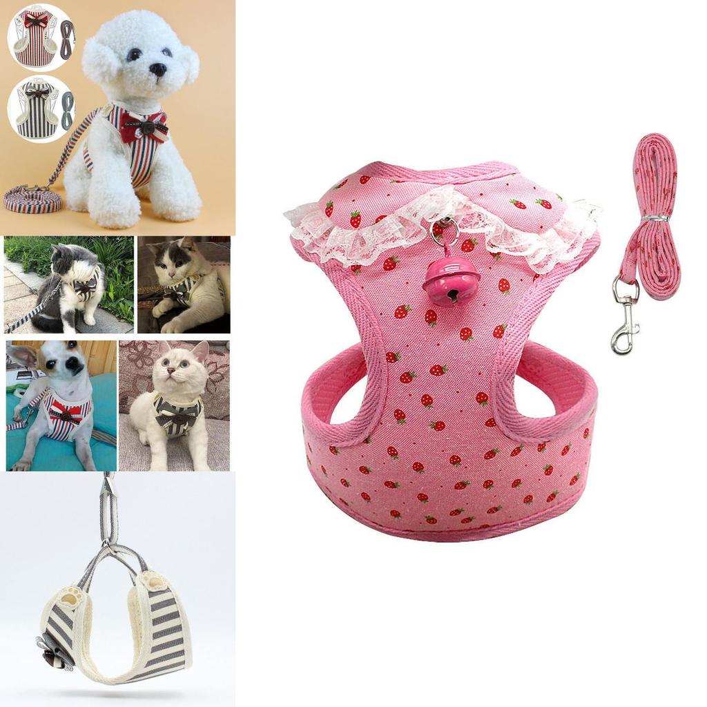 Soft Padded Dog Harness With Easy Hook And Loop Closure For Small And Medium Dogs