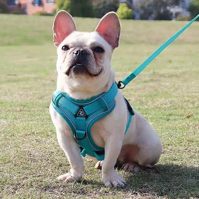 Dingdongpet Dog Attack Prevention Mesh H-type Harness, Mint