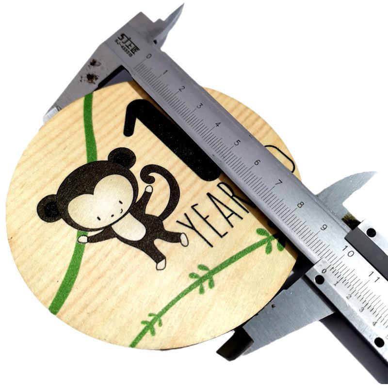 Wooden Baby Animal Milestone Cards for Monthly Photoshoots