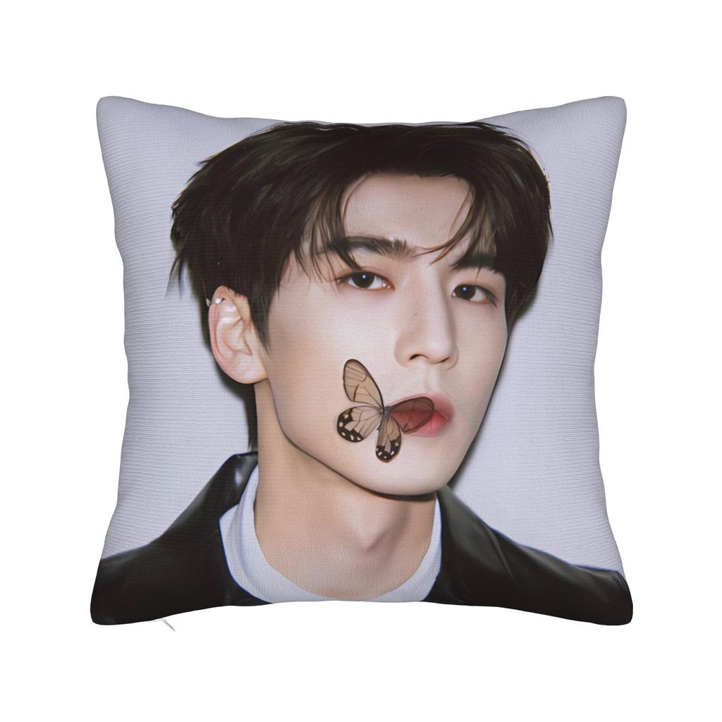 Zhang Linghe Pillowcases Kawaii Pillow Case For Living Room Sofa Custom Pillow Cover